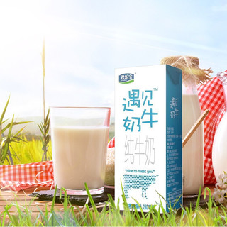 JUNLEBAO 君乐宝 遇见奶牛 纯牛奶 250ml*24盒