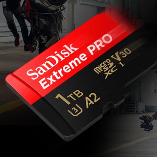 SanDisk 闪迪 Extreme PRO 至尊超极速系列 Micro-SD存储卡 1TB (UHS-I、V30、U3、A2)