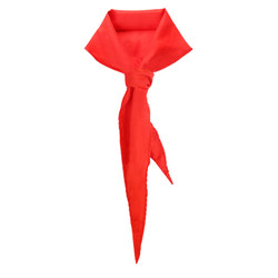 递乐 国标1m红领巾 单条装 5327 *3件