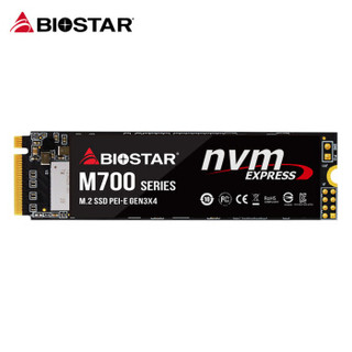 映泰(BIOSTAR) 1TB SSD固态硬盘 M.2接口（NVMe协议）