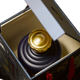 MOUTAI 茅台 茅台王子酒 戊戌狗年 53%vol 酱香型白酒 5000ml 单瓶装