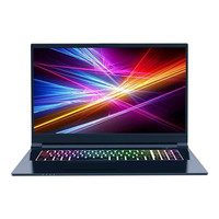 AIERXUAN 夜行者X1 2020款 17.3英寸 游戏本 黑色(酷睿i5-10400、GTX 1650Ti 4G、16GB、512GB SSD、1080P、IPS、144Hz)