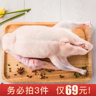 新鲜宰杀大白鸭子肉 净重1kg/只 *3件