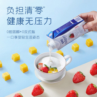 SOYMILK 豆本豆 王源推荐豆本豆植物酸奶原味250g