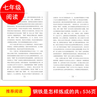 亲近经典 钢铁是怎么样练成的 无删减 无障碍阅读 初一7七年级下名著阅读书目