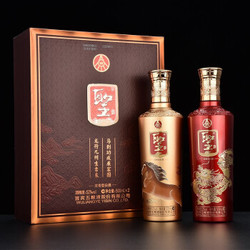 五粮液 圣酒龙马精神 52度浓香型白酒 500ml*2瓶 礼盒装