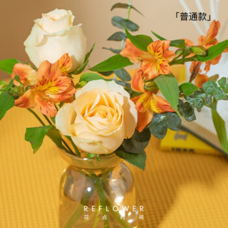 Reflower 花点时间日用百货 花点时间定制花束鲜花速递生活鲜花花田喜事普通款 3月日起陆续发货发货后预计1 3天可收花 报价价格评测怎么样 什么值得买 Reflower 花点时间日用百货 花点时间定制花束鲜花速递生活鲜花花田喜事普通款 3月日起陆续发货发货后预计1 3天可收花 报价价格评测怎么样 什么值得买