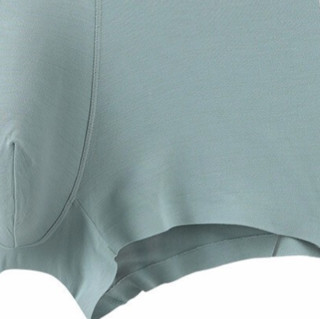SCHIESSER 舒雅 BECOVER系列 男士平角内裤 E9-17064T 薄荷绿 XXL