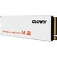 GLOWAY 光威 骁将系列-极速版 M.2 NVMe 固态硬盘 480GB