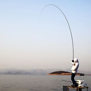 SHENSHA 神鲨 攻湖 台钓竿 5.4米