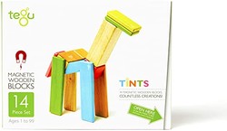 Tegu 14 件磁性木制积木套装 Tints