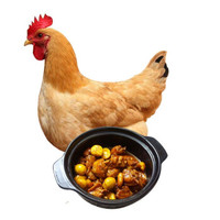 仓帝  农家散养土鸡三黄鸡 鸡肉生鲜 新鲜鸡肉 整鸡 约2斤/只
