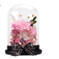 礼遇情人节：花逅 玻璃罩玫瑰永生花 