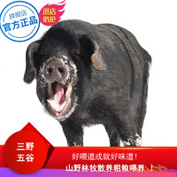野蛮香 东北长白山脉健康黑猪肉一头  毛重315斤左右