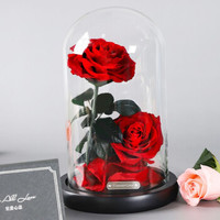 礼遇情人节：RoseBox 玫瑰盒子 玻璃罩红玫瑰永生花 2朵