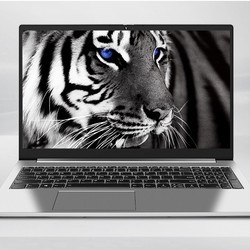 Lenovo 联想 威6 2021款 定制旗舰版 15.6英寸笔记本电脑（ i5-1135G7、16G、512G、MX450）