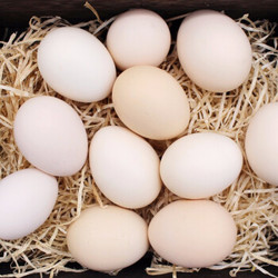富润世 农家新鲜鸡蛋 40枚 *8件