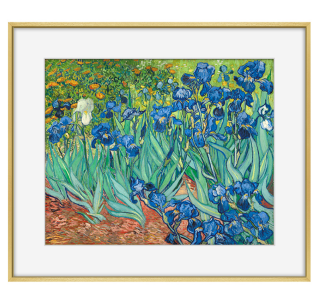 梵高 紫色鸢尾花 版画装饰画欧式壁画餐厅装饰画客厅 报价价格评测怎么样 什么值得买