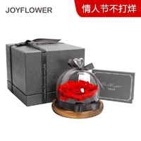 JoyFlower永生玫瑰花礼盒玻璃罩 情人节礼物送女友纪念日生日礼品