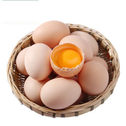中国特产 兴平馆 农家散养土鸡蛋 20枚 *2件