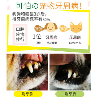 狗狗牙刷牙膏套装泰迪专用猫咪金毛除口臭神器指套宠物用品可食用