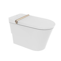 JOMOO 九牧 Z1D6800-S2-CJM 虹吸式智能坐便器