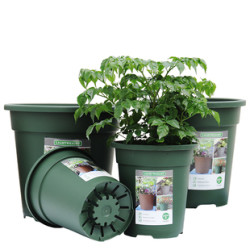 环球二代加仑盆升级加厚塑料花盆