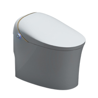 JOMOO 九牧 D6025T 即热式智能坐便器 305mm坑距