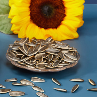 胖农经典版葵花籽原味2g 6罐 报价价格评测怎么样 什么值得买 胖农经典版葵花籽原味2g 6罐 报价价格评测怎么样 什么值得买