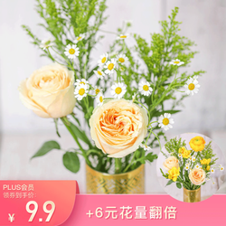 省30元 花点时间定制花束鲜花速递生活鲜花等春来普通款 2月26日起陆续发货发货后预计1 3天可收花 什么值得买