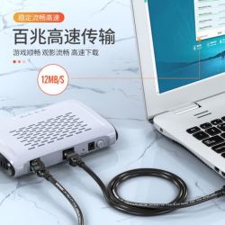 胜为(shengwei)超五类网线 百兆阻燃网络连接线 Cat5e超5类成品跳线 电脑宽带连接线 5米 WLC1005G *11件