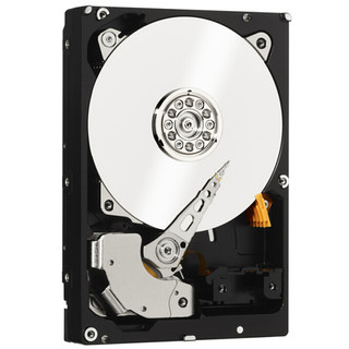 Western Digital 西部数据 Gold系列 3.5英寸企业级硬盘 6TB 128MB(7200rpm、PMR)WD6002FRYZ