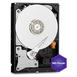 Western Digital 西部数据 紫盘系列 3.5英寸监控级硬盘 1TB 64MB (PMR、5400rpm、64MB) WD10PURX