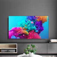 百亿补贴：长虹 D55h液晶电视55寸