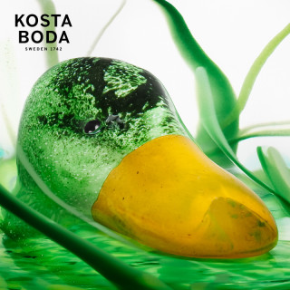 KOSTA BODA New Friends系列 碗