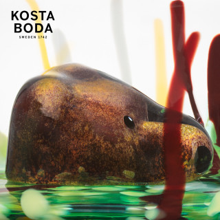KOSTA BODA New Friends系列 碗