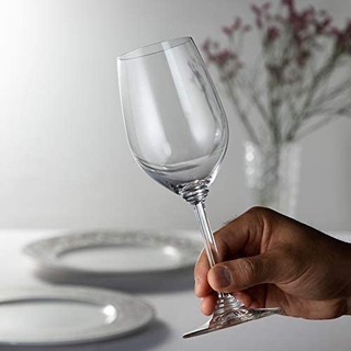 Riedel 葡萄酒系列仙粉黛玻璃杯，一种尺寸，透明 6448/15