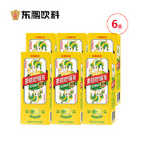 东鹏饮料 由柑柠檬茶250ml*6盒王炸组合 鲜榨柠檬+余甘子杨紫代言