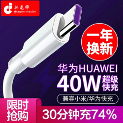 驯龙师 闪充快充Type-c华为Mate20/P20/P30Pro荣耀10/V20手机5A手机数据线 超级快充Type-c( 2米)
