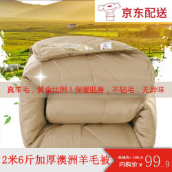 诱寝 澳洲加厚加大保暖羊毛被200*230cm-6斤