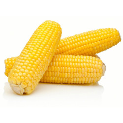 水果蔬菜 儿童玉米双棒8袋(260g-330g/袋) 16根送4根