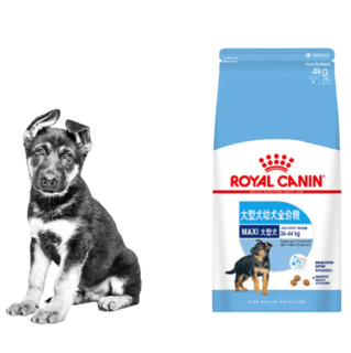 ROYAL CANIN 皇家 MAJ30大型犬幼犬狗粮 15kg