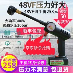 48VF家用洗车神器高压锂电无线洗车机便携式(黑色)战神单电基础款(300瓦30bar)