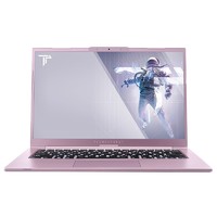 ThundeRobot 雷神 Mixbook Air 14英寸笔记本电脑（i7-10510U、16GB、1TB SSD）