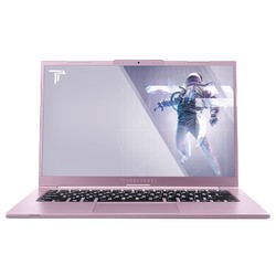 ThundeRobot 雷神 Mixbook Air 14英寸笔记本电脑（i7-10510U、16GB、1TB）