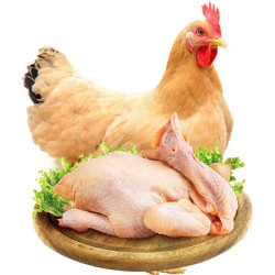淘穗 正宗土鸡三黄鸡肉 生鲜童子鸡杀后约800g/只