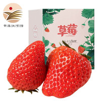 好货福利：鑫民窑 红颜奶油草莓99草莓 3盒装 净重2.4斤