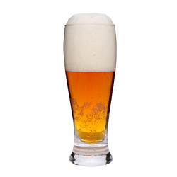EICHBAUM 爱士堡 艾斯宝精酿 印度淡色艾尔啤酒IPA500ml*8听整箱 德国原装进口精酿啤酒