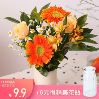 Reflower 花点时间鲜花速递 Reflower 花点时间鲜花速递自然醒升级款 报价价格评测怎么样 什么值得买