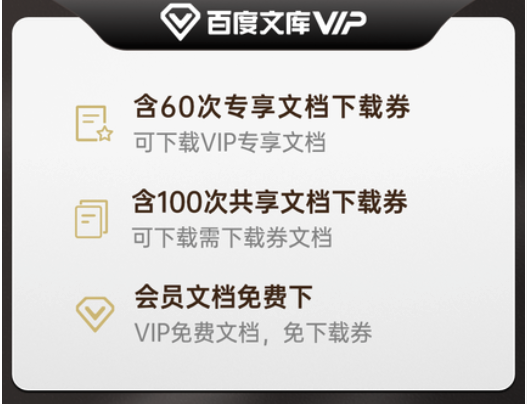 Baidu 百度 百度文库VIP会员12个月